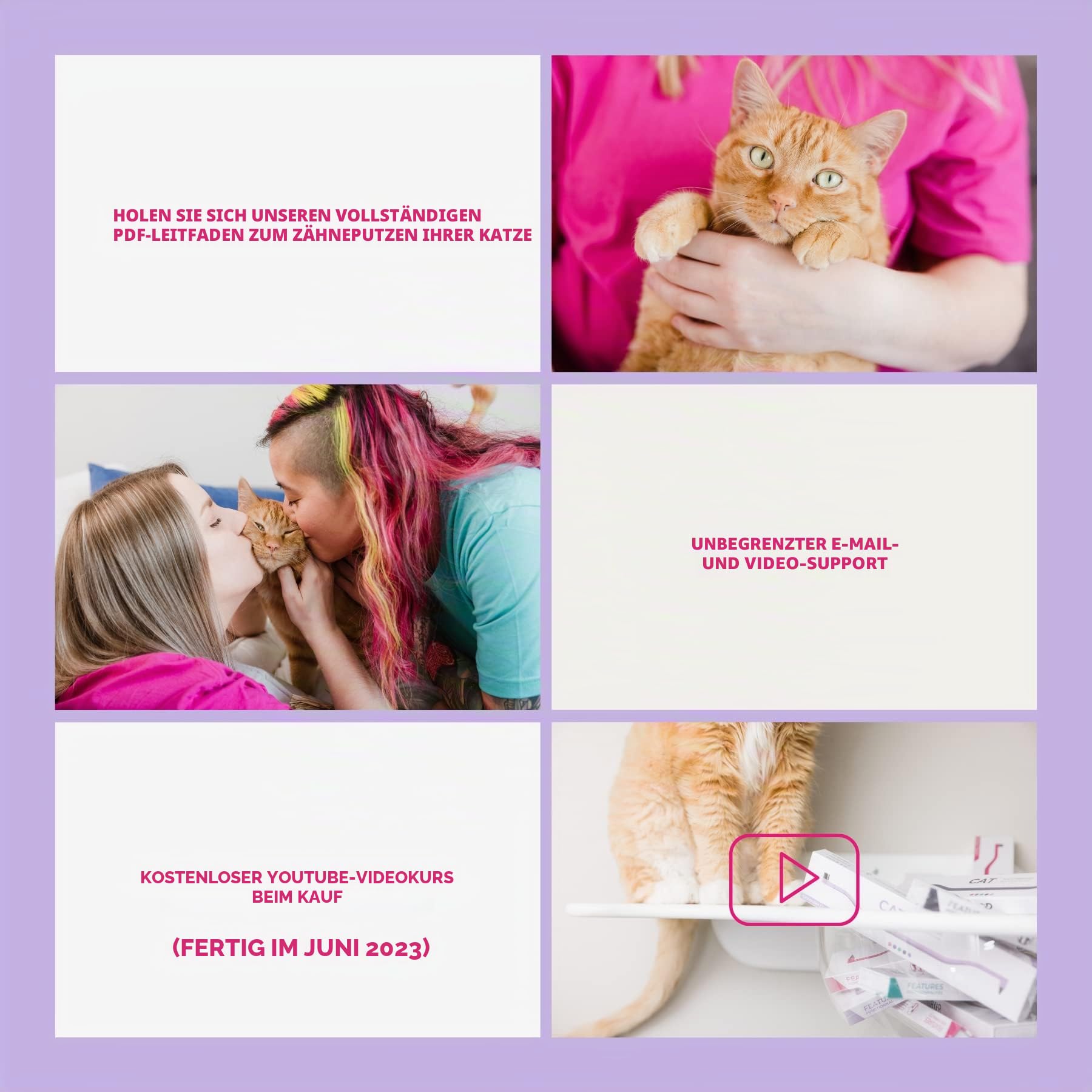 RYERCATKatzen Zubehör - Doppelseitige Zahnbürste für Katzen/Kätzchen - Katzenzahnpflege (Amethyst Lila)