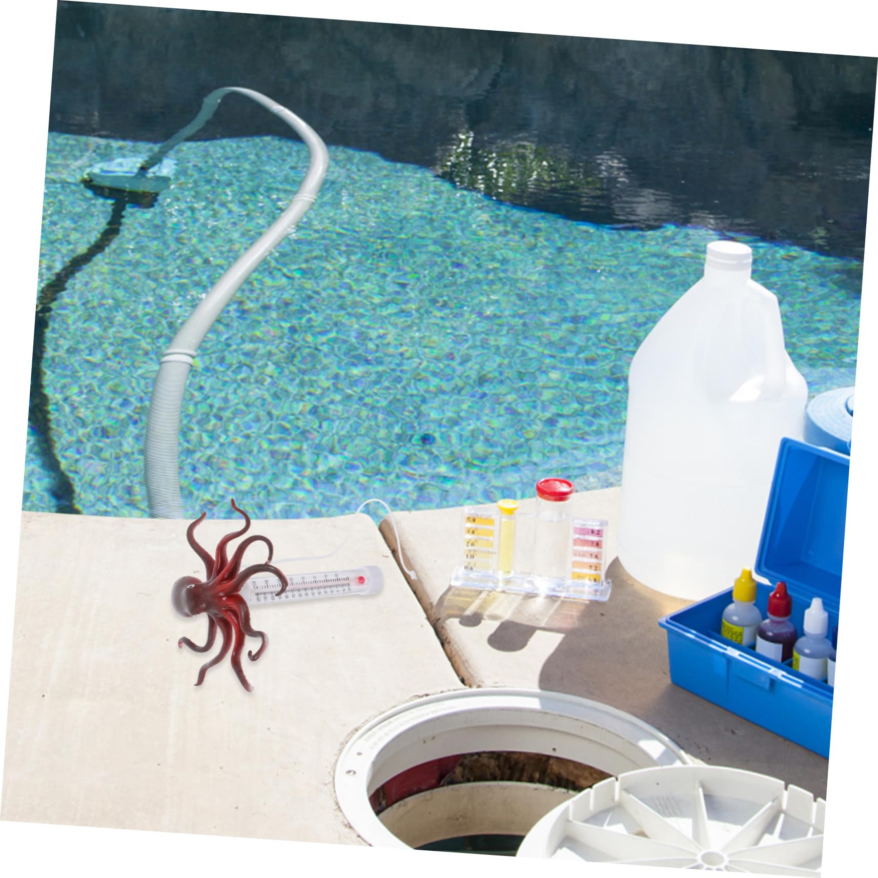 Toyvian Termometro Galleggiante per Forma Misuratore Temperatura per Spa Vasche e Acquari Facile e Utilizzo Design Adatto AI Accuratezza Garantita