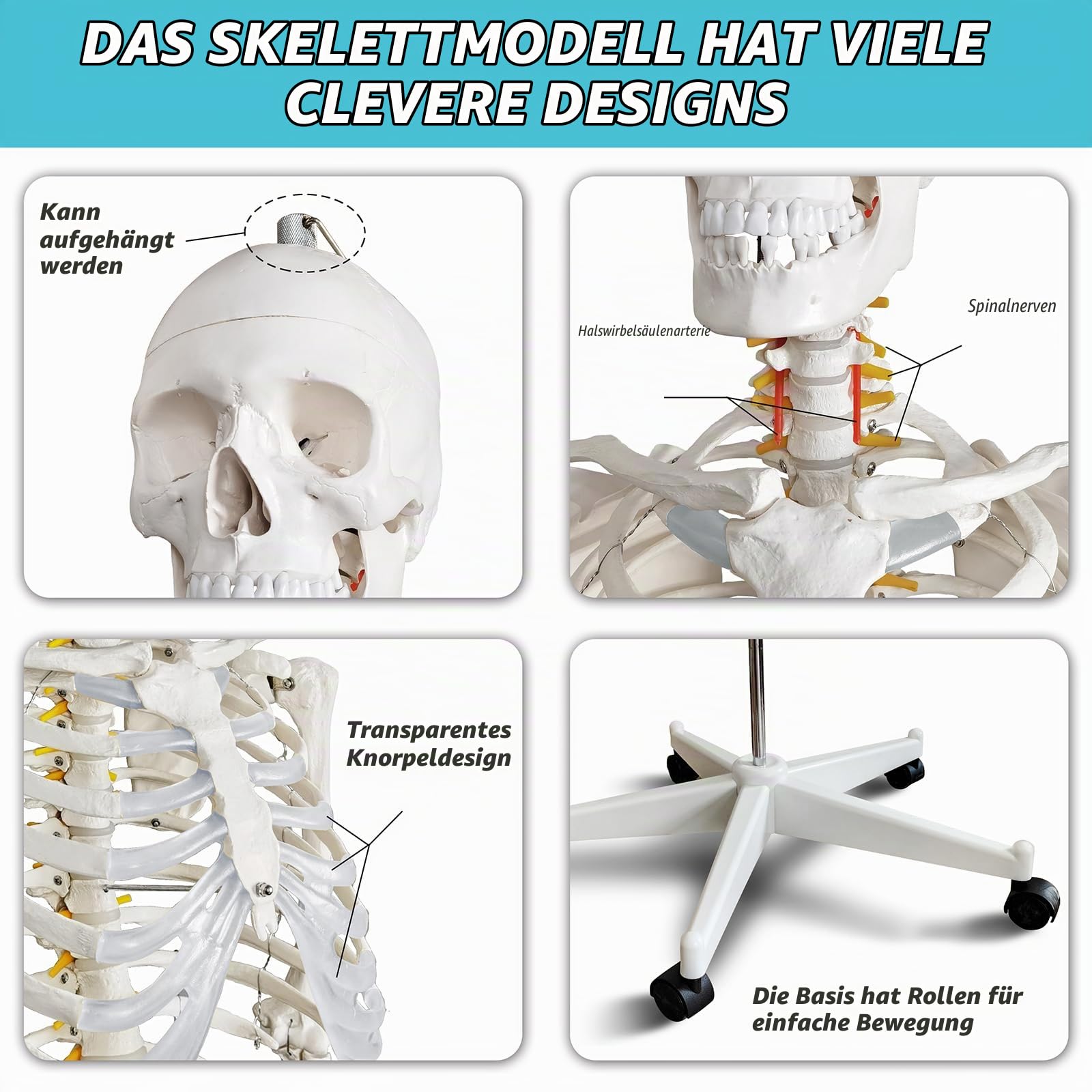 Lebensgröße menschliches Skelettmodell für Anatomie-medizinisches menschliches Skelettmodell mit Nervensystem180in mit Rollständer für medizinische Studie und Anzeige 3 Plakate
