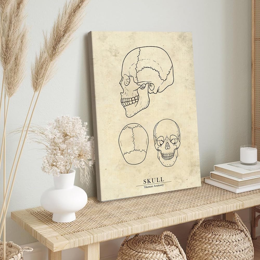 Czaszka medyczna - retro anatomia sztuka ścienna druk medyczny obraz na płótnie serce miednica noga mięsień czaszka miednica plakat szpital klinika lekarz biuro sztuka ścienna dekoracja (oprawiony, 40