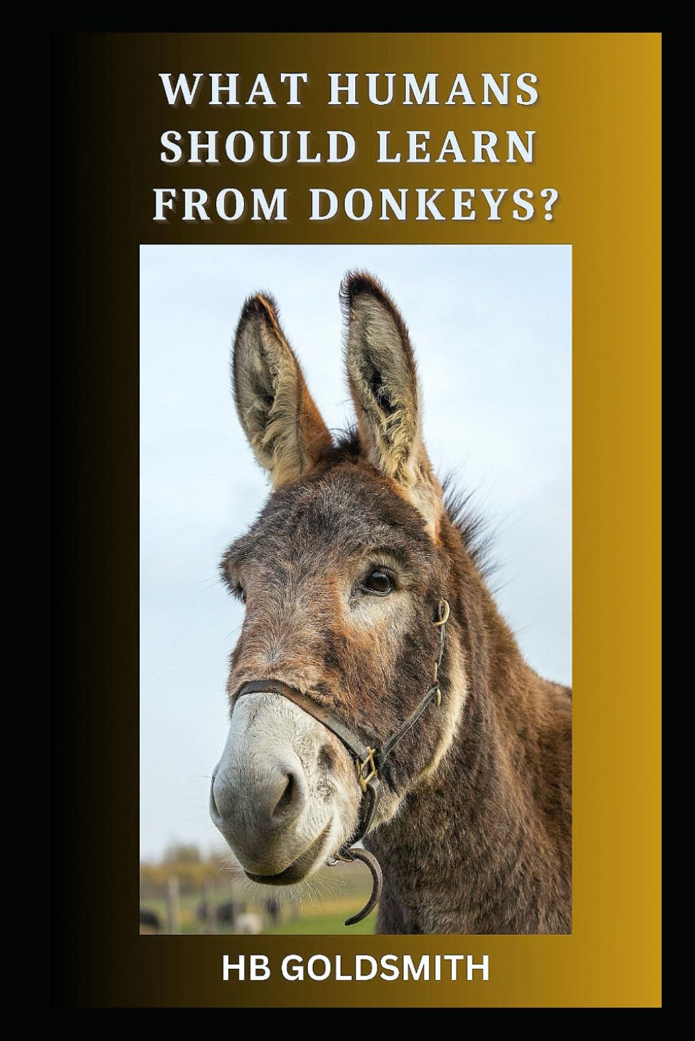 What Humans Should Learn From Donkeys?