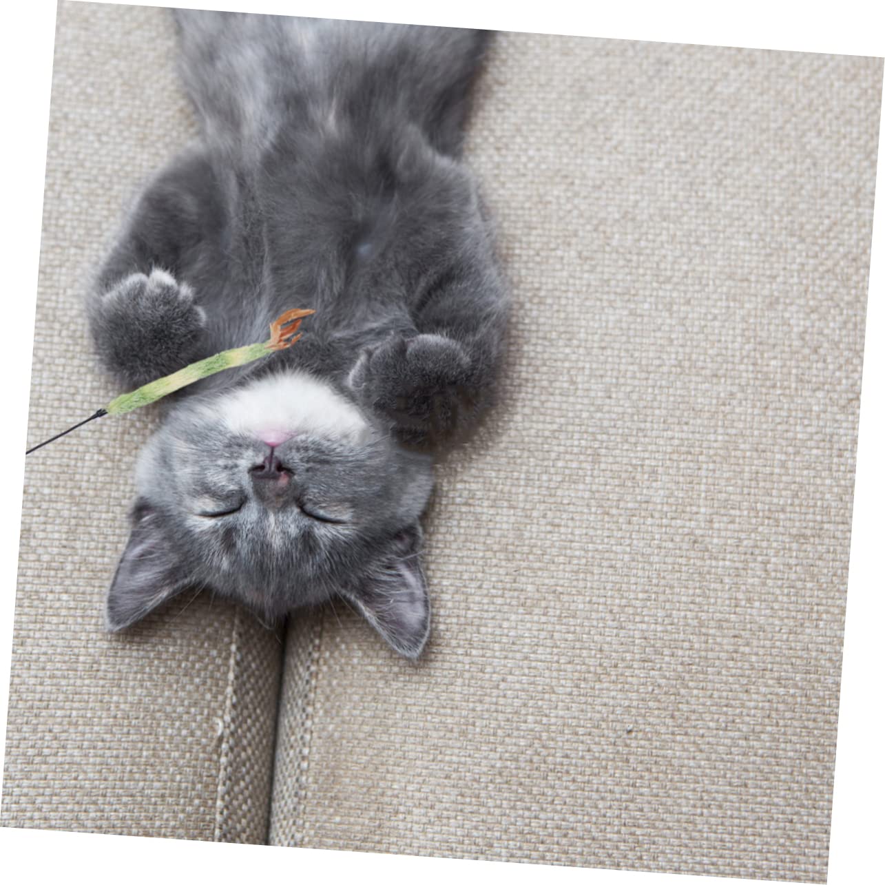 Kisangel 15 Piezas De Juguete Giratorio para Gatos Suministros para Mascotas Juguetes para Gatitos Juguetes para Ejercitar Gatos Juguete De Hadas Juguetes para Gatitos Juguetes