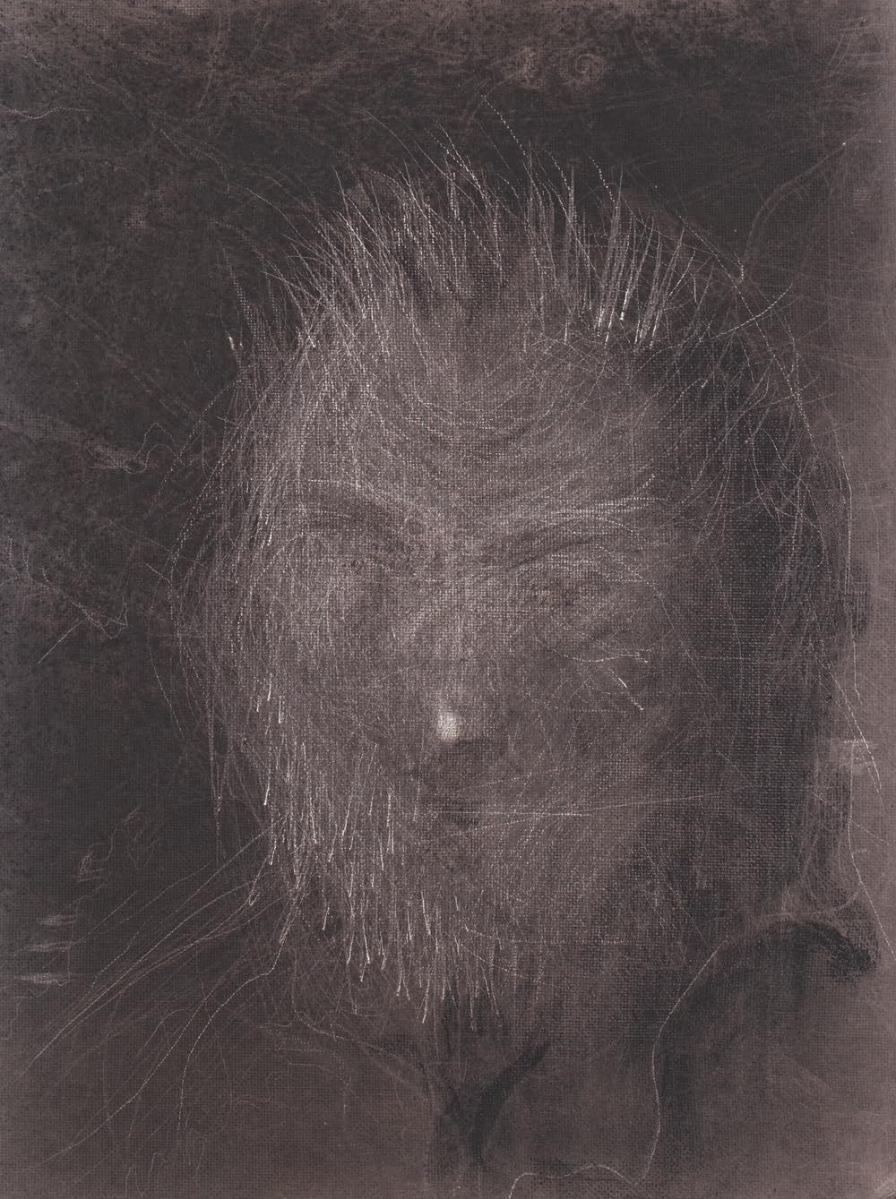 Miquel Barceló: Artist's Portfolio (Cuaderno De Artista / Artist's Sketchbook) Paperback – Illustrated, March 31, 2012