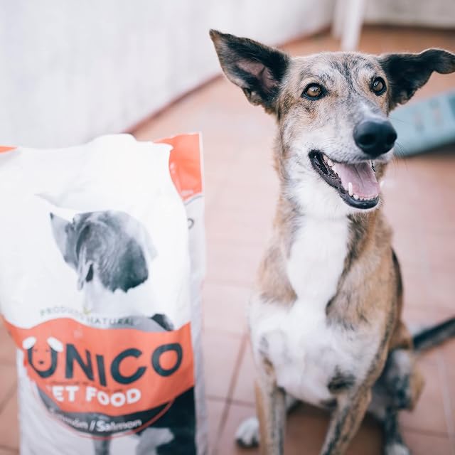Foto 3 de 3 de L-Único con Salmón 2KG - Pienso para Perros Jóvenes y Adultos - Alimento Completo y Natural con Salmón