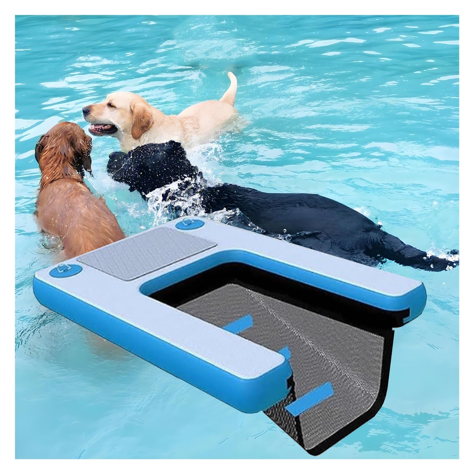 Échelle pliable pour bateau et sorties en mer avec chien