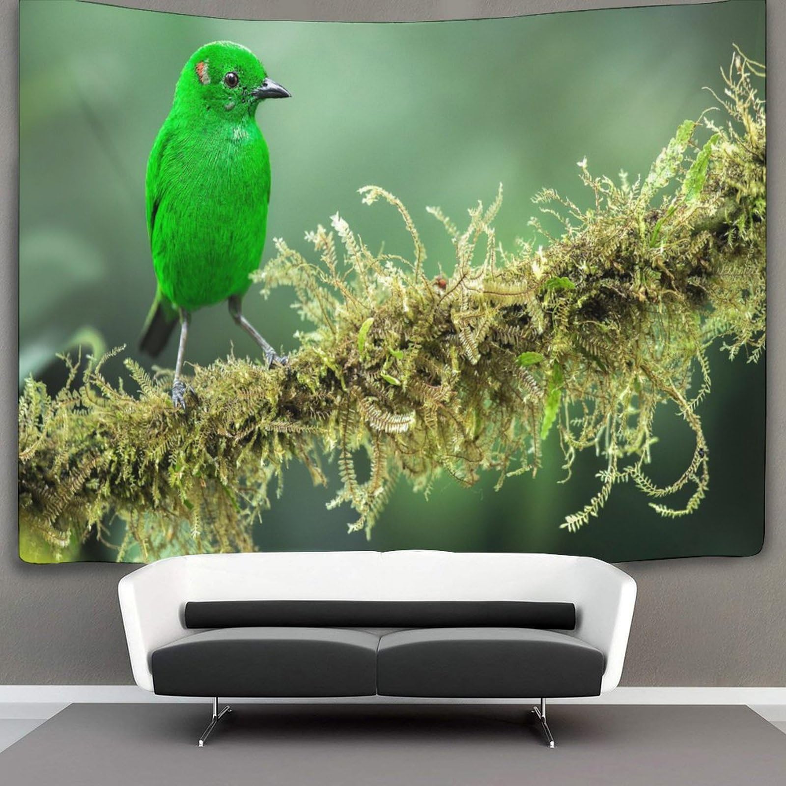 kaiyun Green Feathers Bird Tapestry Wall Hanging Birds Animals Wall Art for Living Room Bedroom Dorm 70cmx100cm