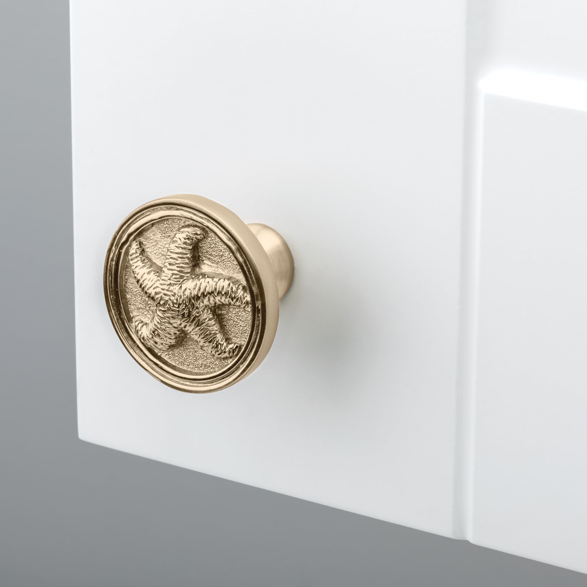 Franklin Brass Seaside Cottage Starfish (5-Pack) Cabinet Knobs, Champagne Bronze, 1-7/16" (37mm) - Image 4