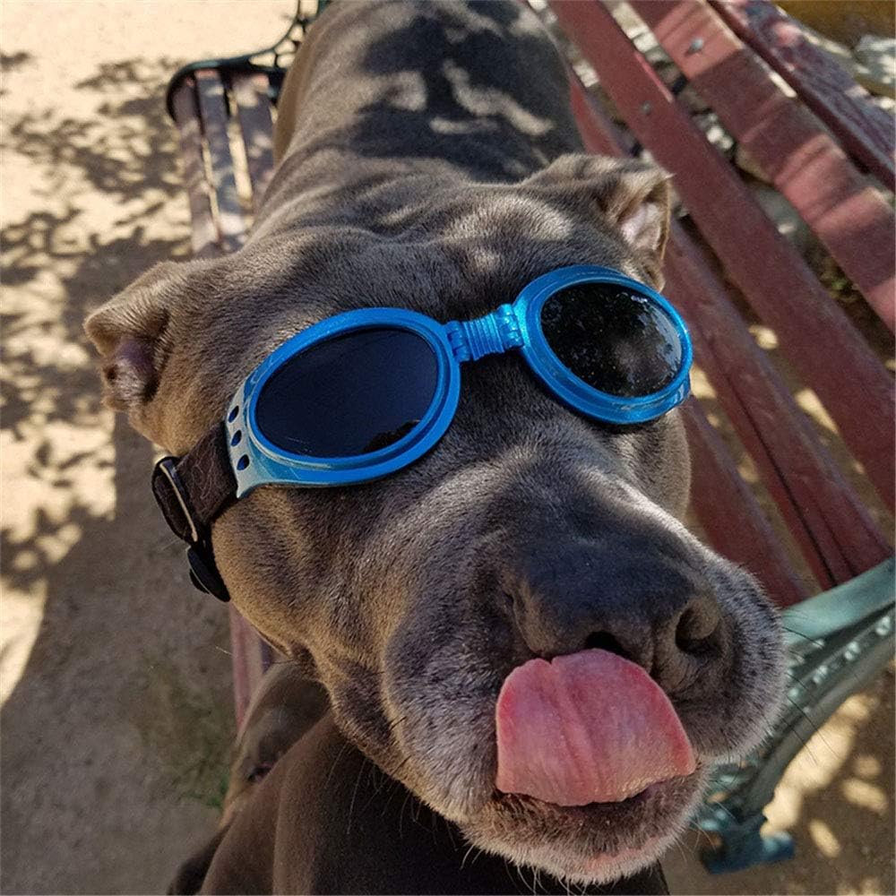 Jkghk犬ゴーグル 子犬サングラスアンチuv目の保護ゴーグル小型 中型ペットサングラス用防水防風アンチフォグ Black 銀 当店限定販売