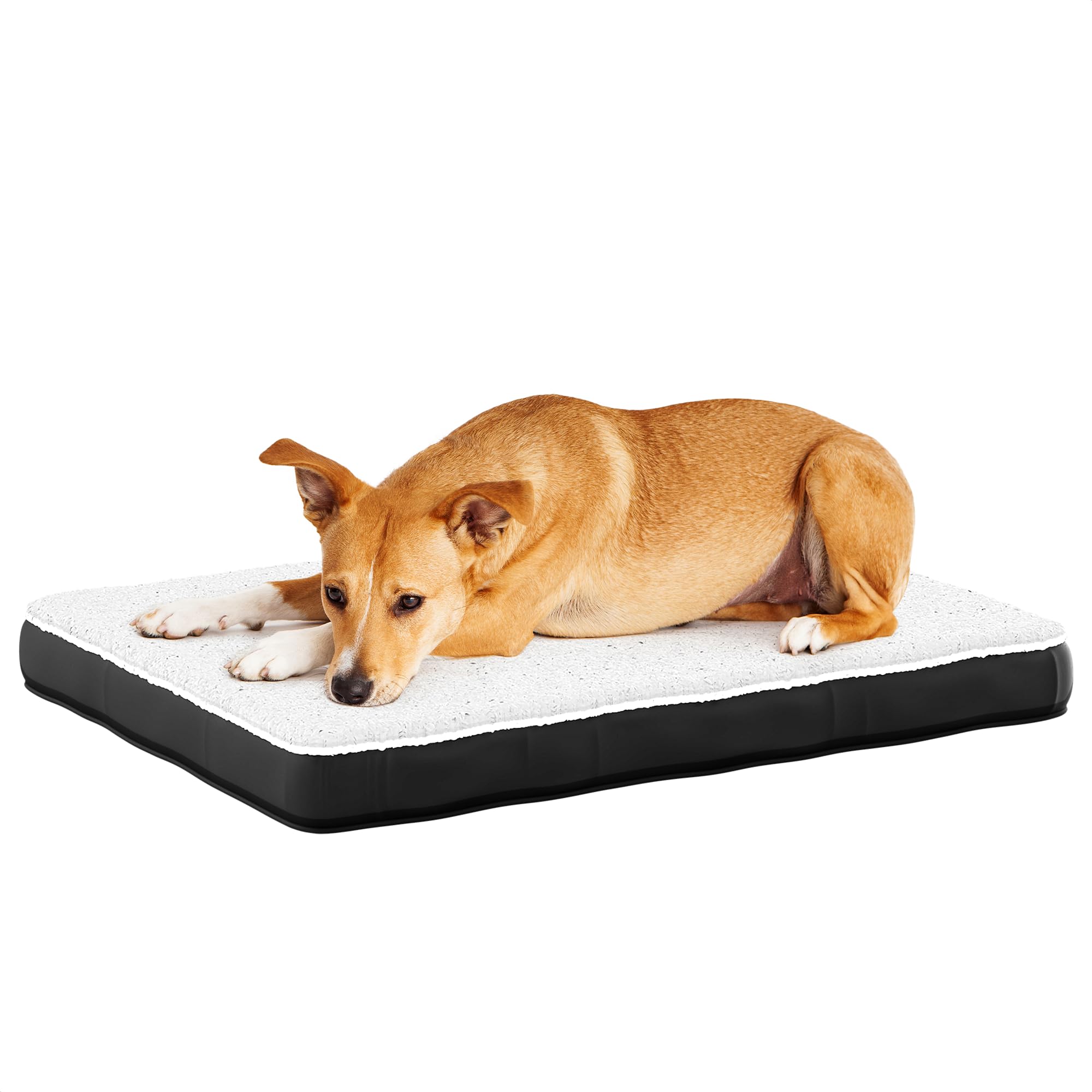 Avalo Coussin Chien Orthopédique L - 91x69 cm - Lavable/Mousse à Mémoire de Forme/Antidérapant - Panier Chien Orthopédique