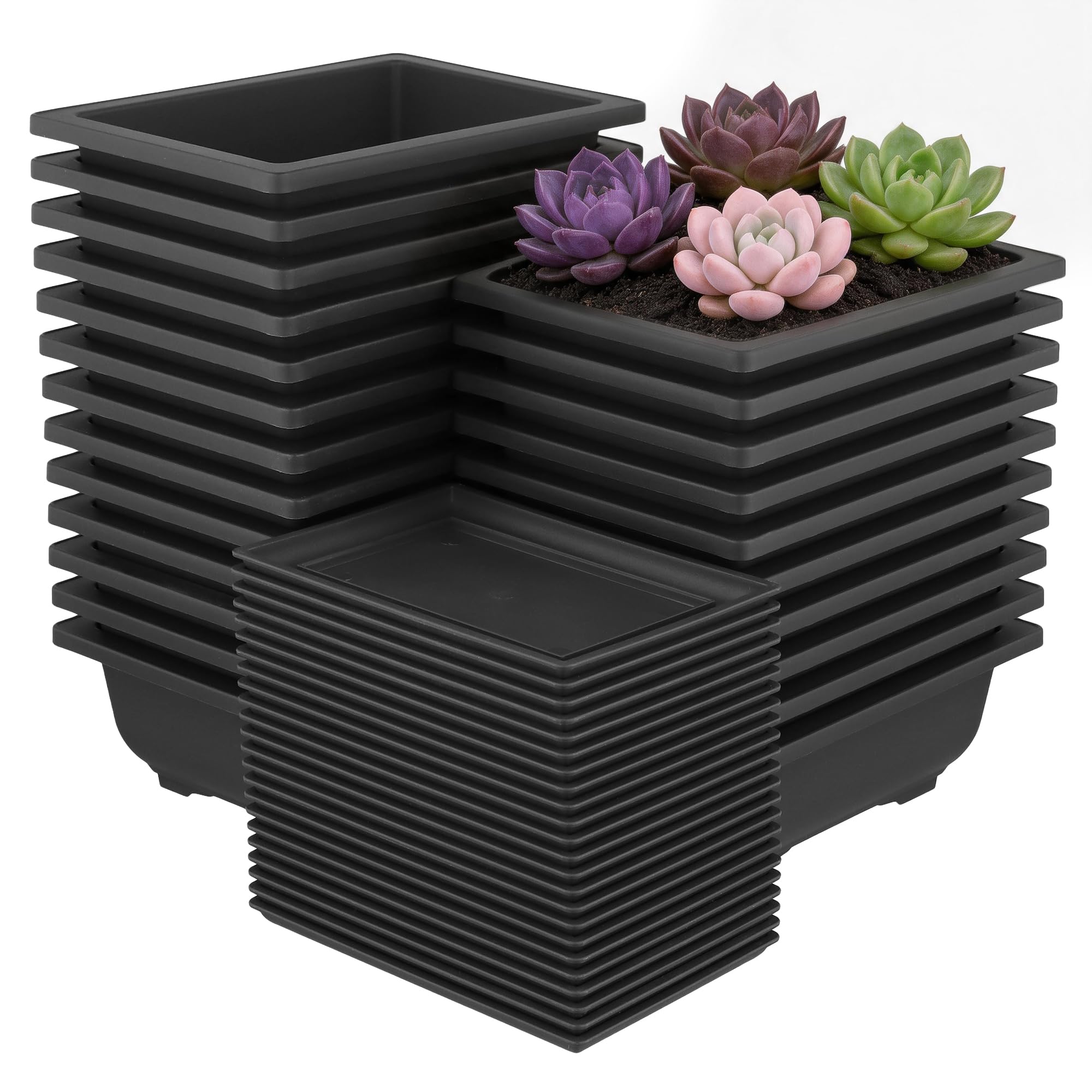 Lot de 24 petits pots d'entraînement rectangulaires en plastique pour bonsaï 16,5 x 12 x 6 cm avec plateaux pour bonsaï et plantes succulentes