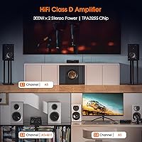 Vista 2 de Douk Audio A5 2 Channel TPA3255 Stereo Amp, 300 Watts x2 Mini Hi-Fi Audio Power Amplifier Class D for Home Theater System, Passive Bookshelf Tower