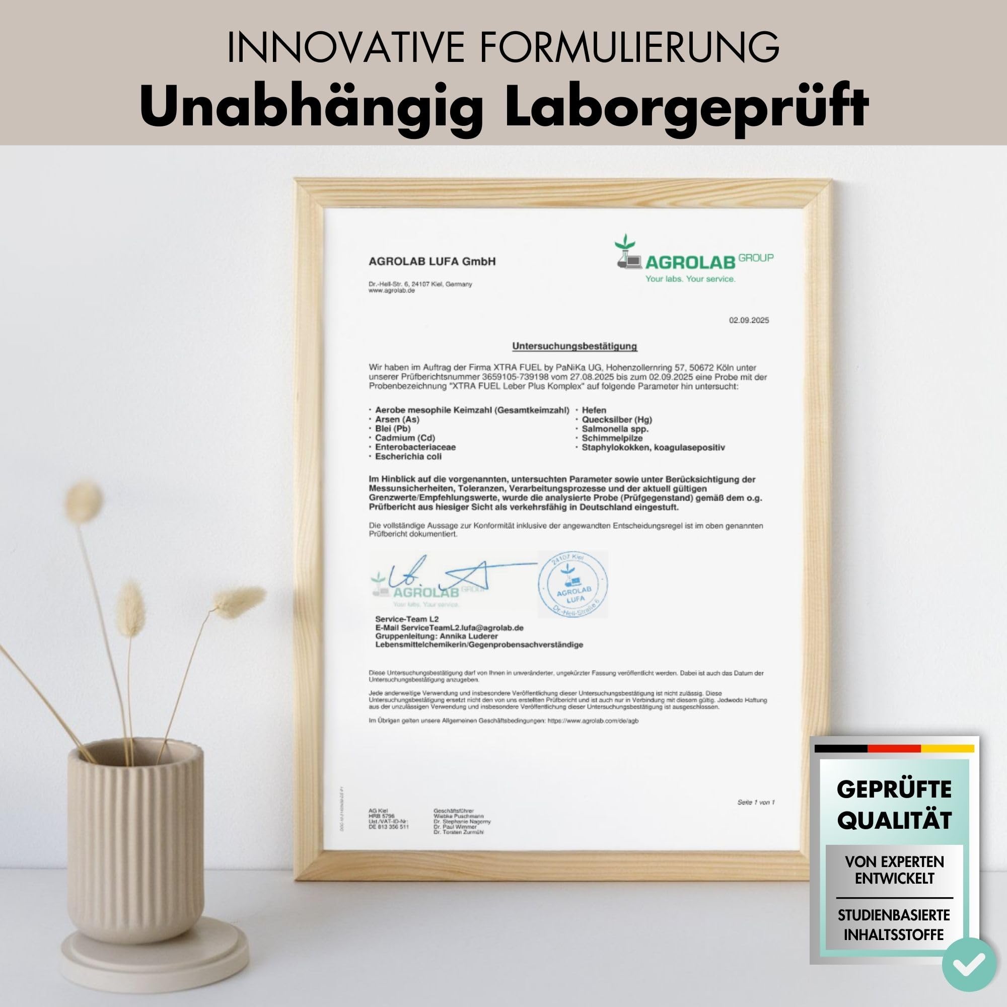 Leber Komplex - 180 Kapseln hochdosiert - mit Mariendistel (80% Silymarin), Artischocke, Löwenzahn & Cholin für die normale Funktion der Leber - laborgeprüft, vegan & zertifiziert