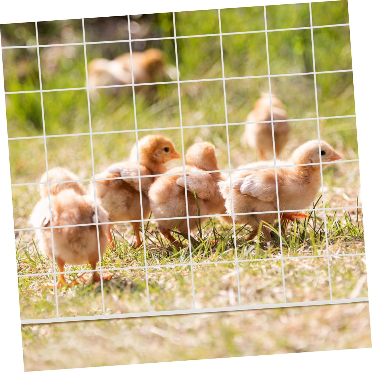 VANZACK 8pcs Rabbit Playpen Metal Wire Grid Panels Small Animal Cage Pet Pen for Guinea Pig Kitten Portable Fence Easy Assembly