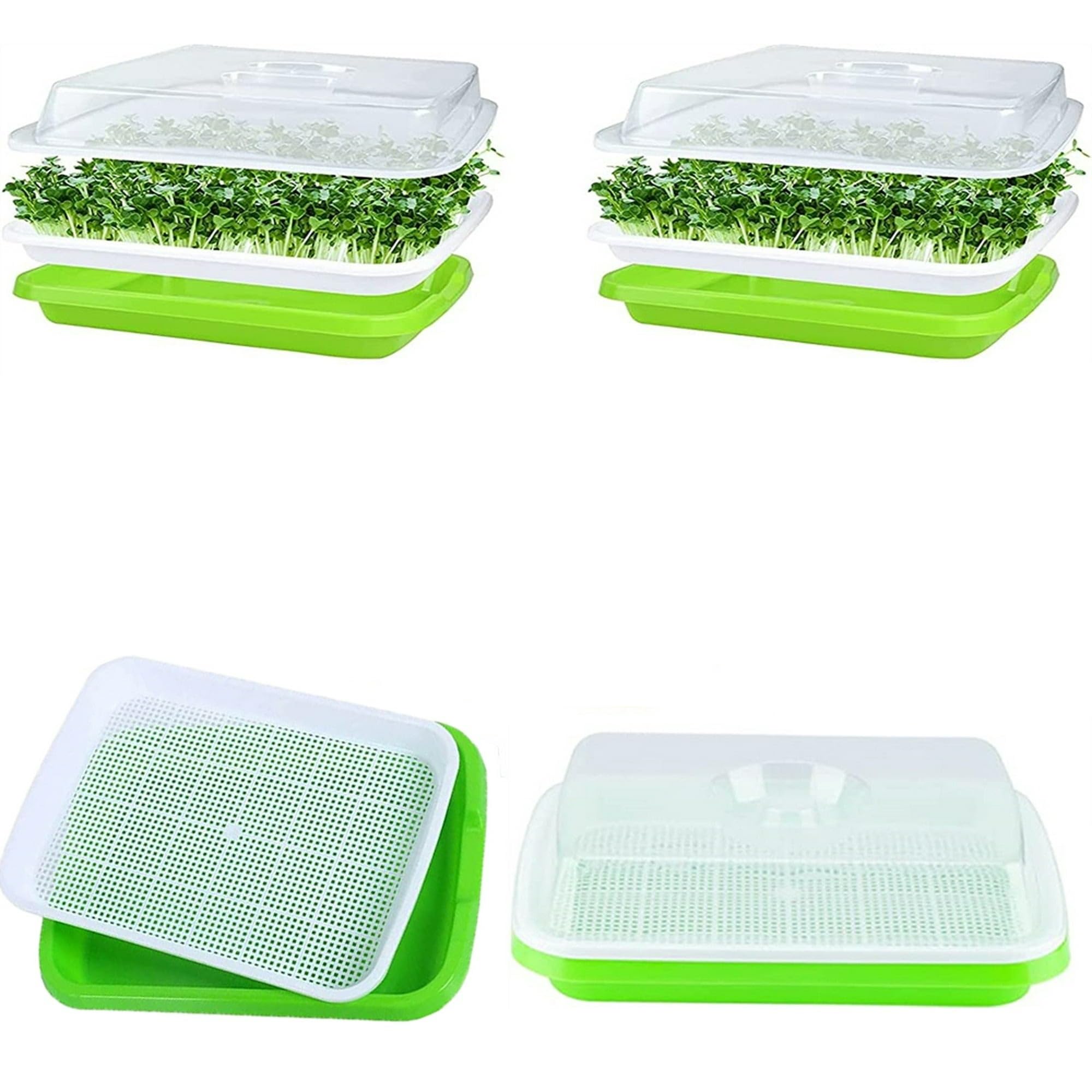 Toxen Seed Sprouter Tray with Lid, Seed Germination Tray BPA Free Nursery Tray for Seedling Planting Great Healthy Wheatgrass Grower for Garden Home Office (4) (B0CL33LDWW) Amazon Price History, Amazon Price Tracker