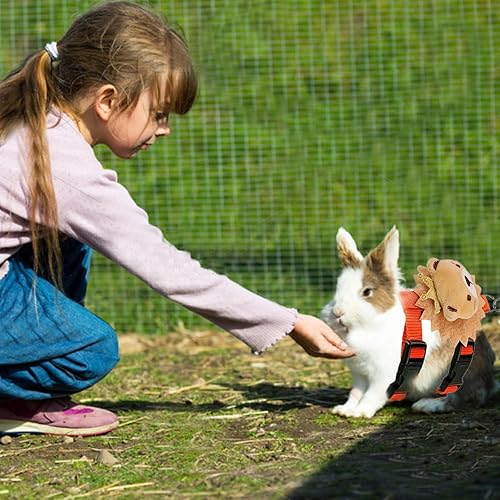 Set of 4 Adjustable Rabbit Harness and Leash for Small Pets, Ferret Leash with Decorations for Rabbit, Kitten, Puppy