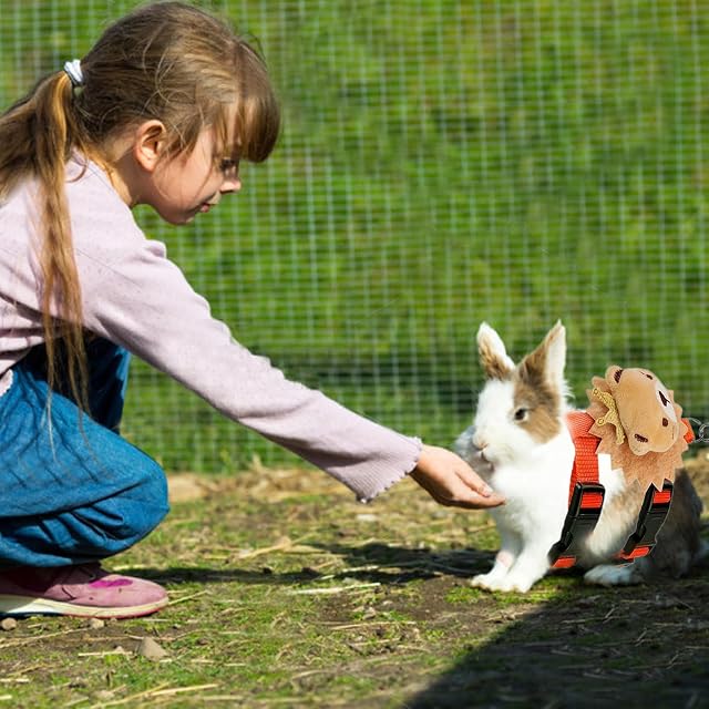 Foto 2 de 7 de Arnés de Conejo con Correa, arnés Gatito Mascota, Correa de Conejo, Juego con Correa para arnés de Conejo