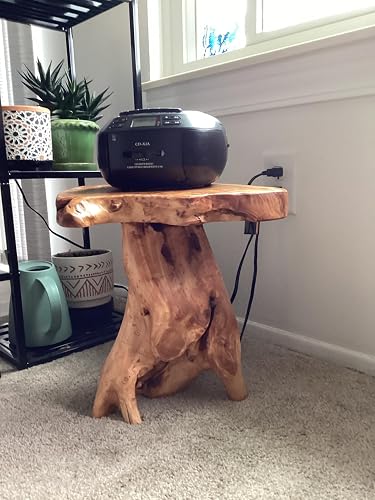 Review Image by Amazon Customer