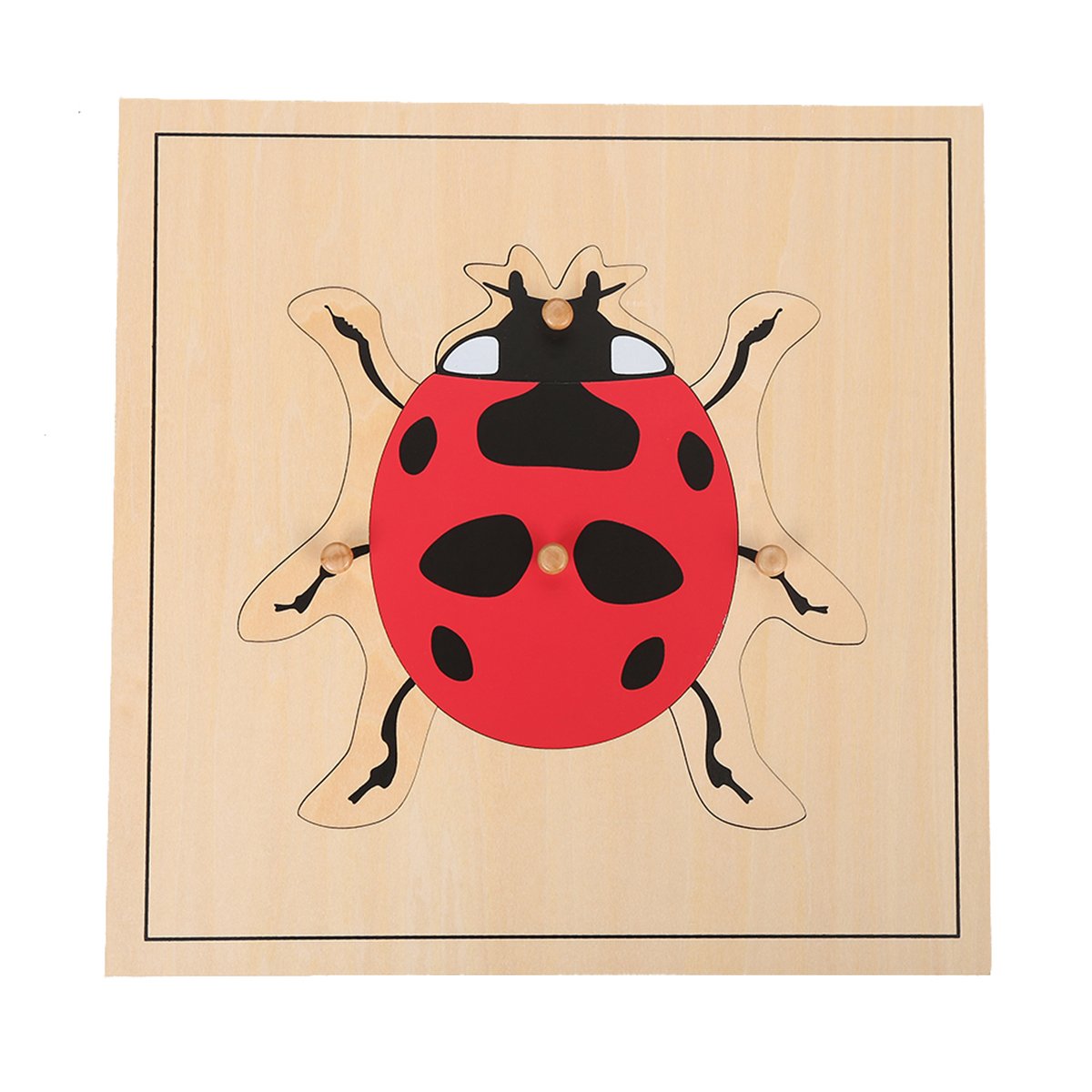 Montessori Nature Materials Ladybug Puzzle for Early Preschool Learning Toy
