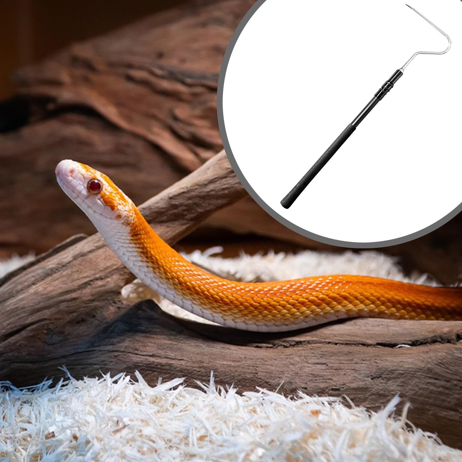 Crochet à Serpent avec Tête de Crochet, Perche Télescopique Légère pour Attraper