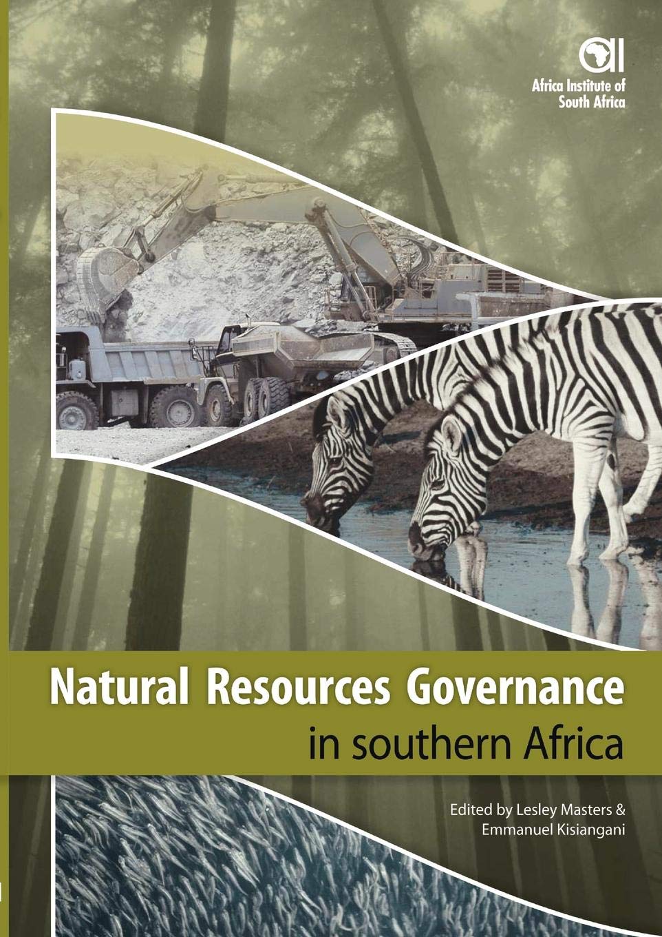 Natural Resources Governance in Southern      [Print Replica] Kindle Edition