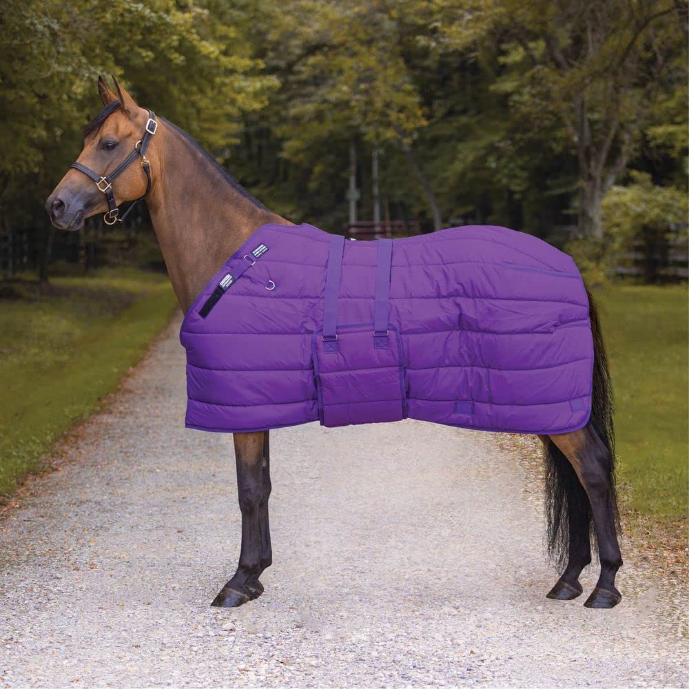 Adjusta Fit Cutback Fit Wither Dura-Nylon Stable Horse Blanket | Bellyband Horse Blankets | Horse Blankets for Winter Waterproof & Durable | Heavyweight Insulation | Color Purple | Size 78