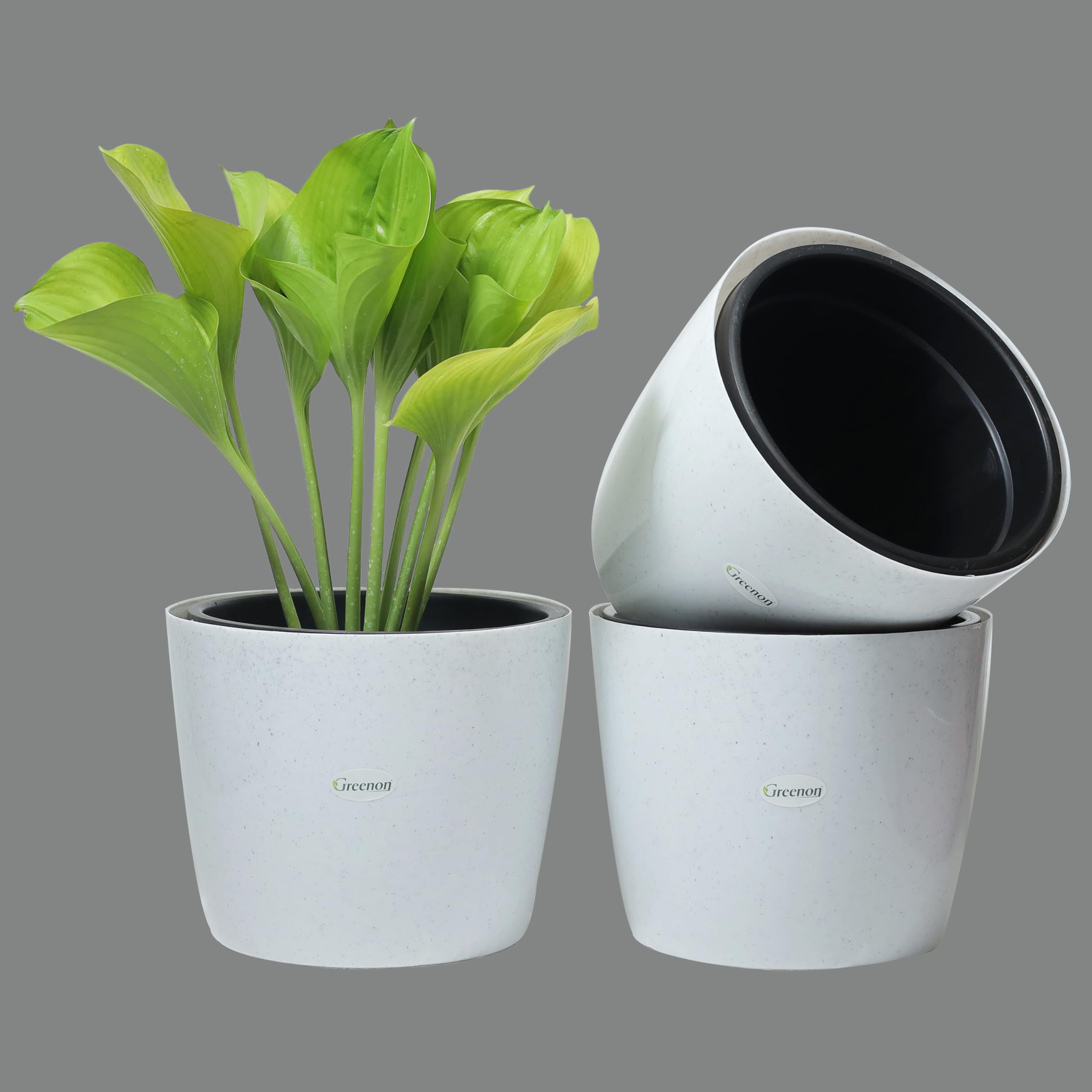 GREENON® 10 Inch Plant Pot Pack of 3 (6 Pots) Self Watering Indoor Pot | DOTT White Outer Black Inner Flower Pot | UnFadable | Suitable for Home Indoor and Balcony Plants | Low Maintenance Big Gamla (B09XFL4P6Z) Amazon Price History, Amazon Price Tracker