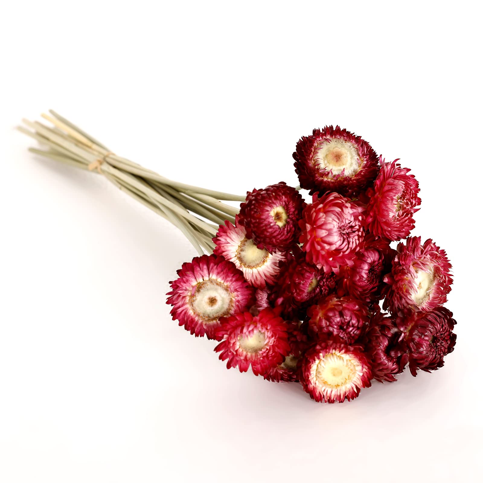 MIHUAGE Getrocknete Blumen, 40 Stück, Gänseblümchen, Blumenstrauß, 100 % natürliche Chrysanthemen, Trockenblumen mit Stiel für Vasen, Heimdekoration, Party, DIY-Arrangement, Weizenstroh