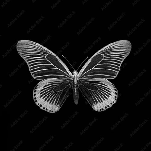 Butterfly Jewelry