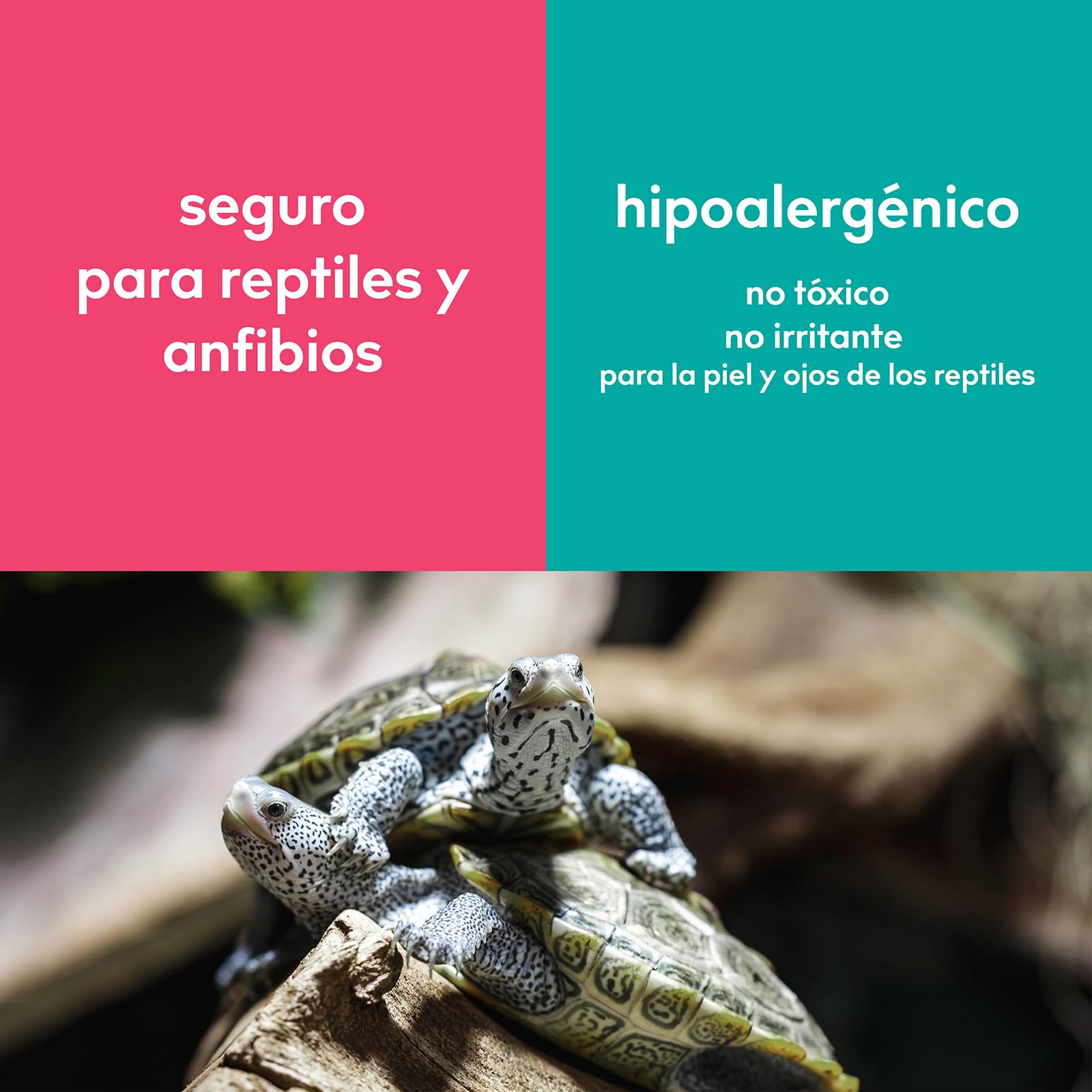 Spray Antiolores Terrario Reptiles, Sin Perfume, 266ml | Fórmula mineral, Seguro para reptiles y anfibios, Terrarios, Serpientes, tortugas, lagartos, geckos