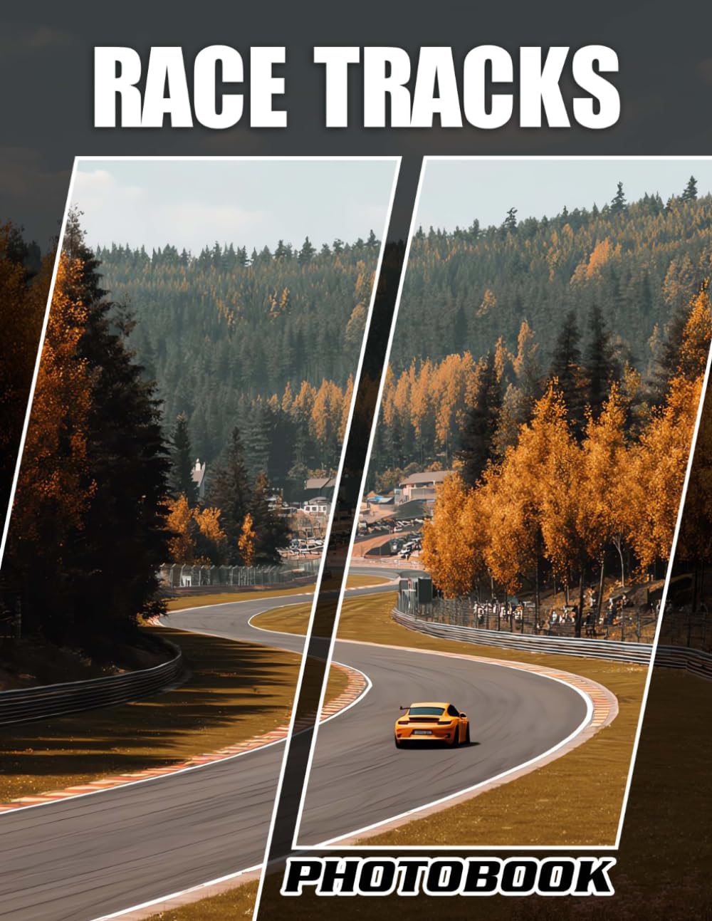 Race Tracks Photobook: Picture Book Of Race Track Scenes For Motorsport Enthusiasts And Accelerating Adventure Inspiration