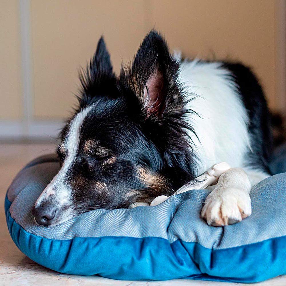 Ferplast Hundebett Hundekissen Katzenkissen Hundesofa für kleine Hunde, Katzenbett, 78 x 50 x 15 cm Waschbar Braun