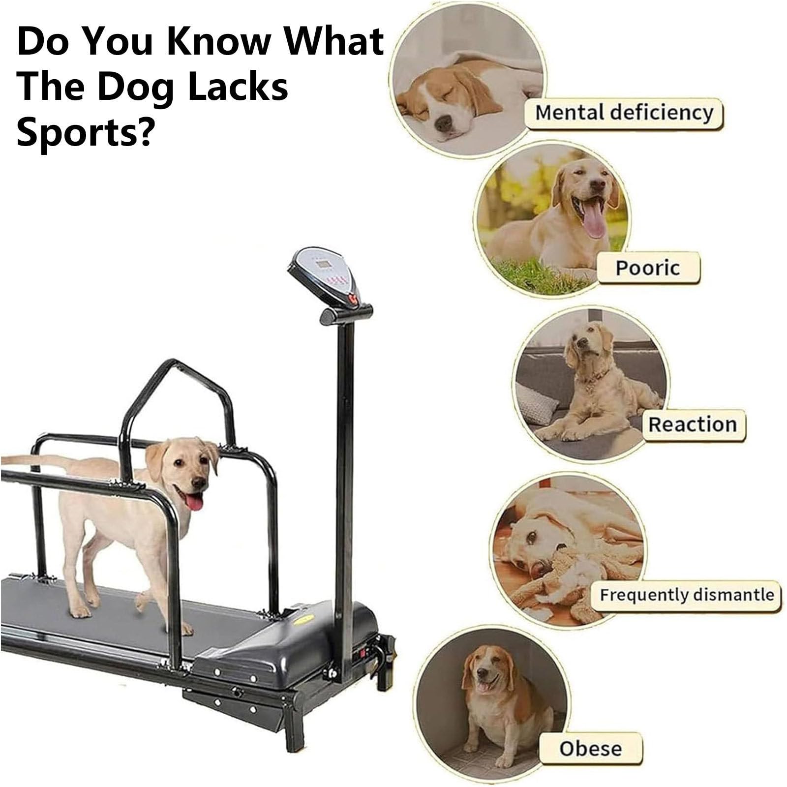 Hundelaufband FüR Kleine Hunde, Hundelaufband FüR Mittlere Hunde, 1,75-Ps-Motor, Geschwindigkeitsbereich 0,8–6 Km/H, Mit Neigungsverstellung Und Anzeigebildschirm