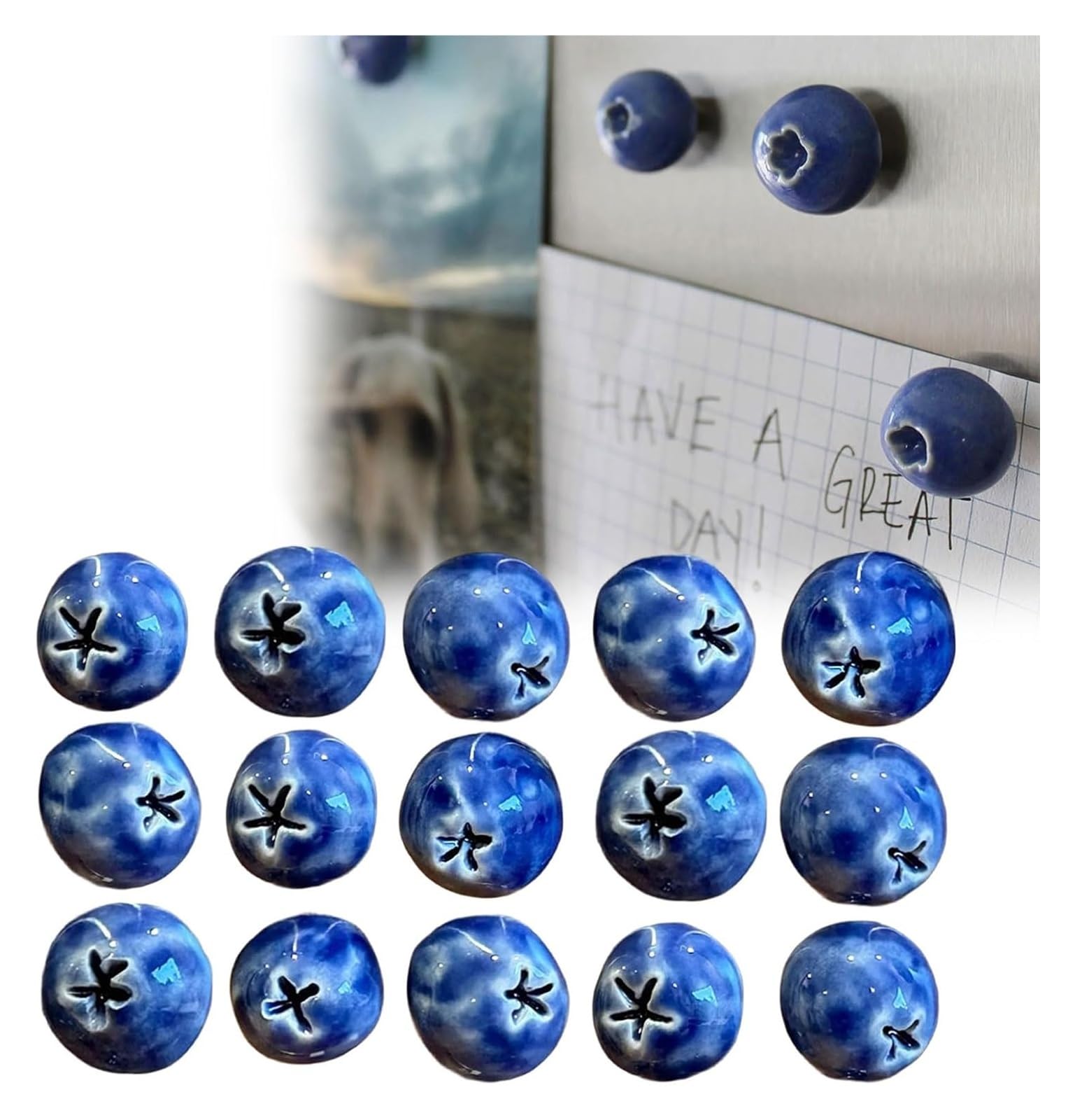 Blueberry Refrigerator Magnets, Ceramic Magnets, Interesting Fruit Refrigerator Magnets, For Storage Cabinets, Home Office Decoration And Note-taking Photo Organization(15PCS)