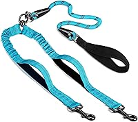 Vista 9 de Correa doble para perro sin enredos, correa elástica para dos perros, correas reflectantes con dos asas de tráfico adicionales para caminar 2 perros