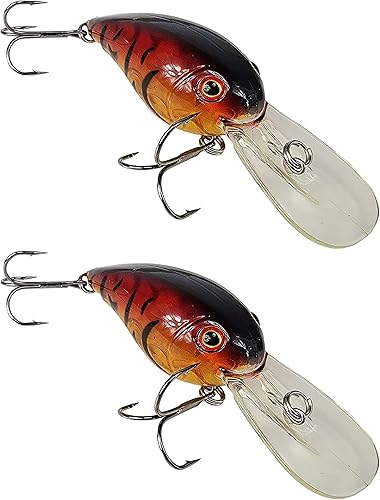 Paquete de 2 cebos de pesca con labios, cebos de pesca con 9 a 14 pies de profundidad, señuelos de pesca para agua dulce o agua salada, cebos duros