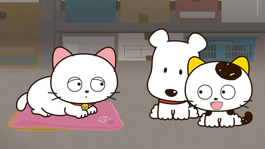 タマ＆フレンズ　DVD タマ＆フレンズ DVD