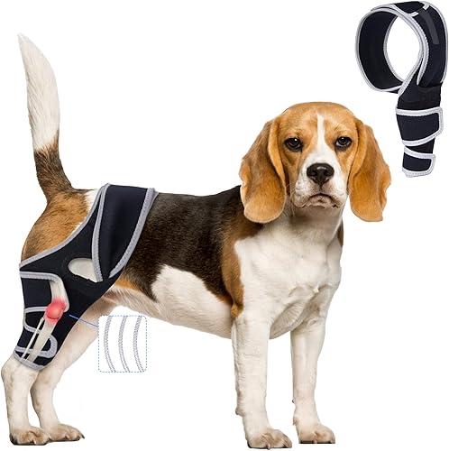Miniatura 10 de Rodillera para perro para pierna trasera desgarrada del ligamento cruzado anterior, tirantes ajustables para piernas de perro, patas traseras o