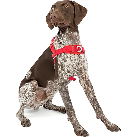 cat tree without carpet