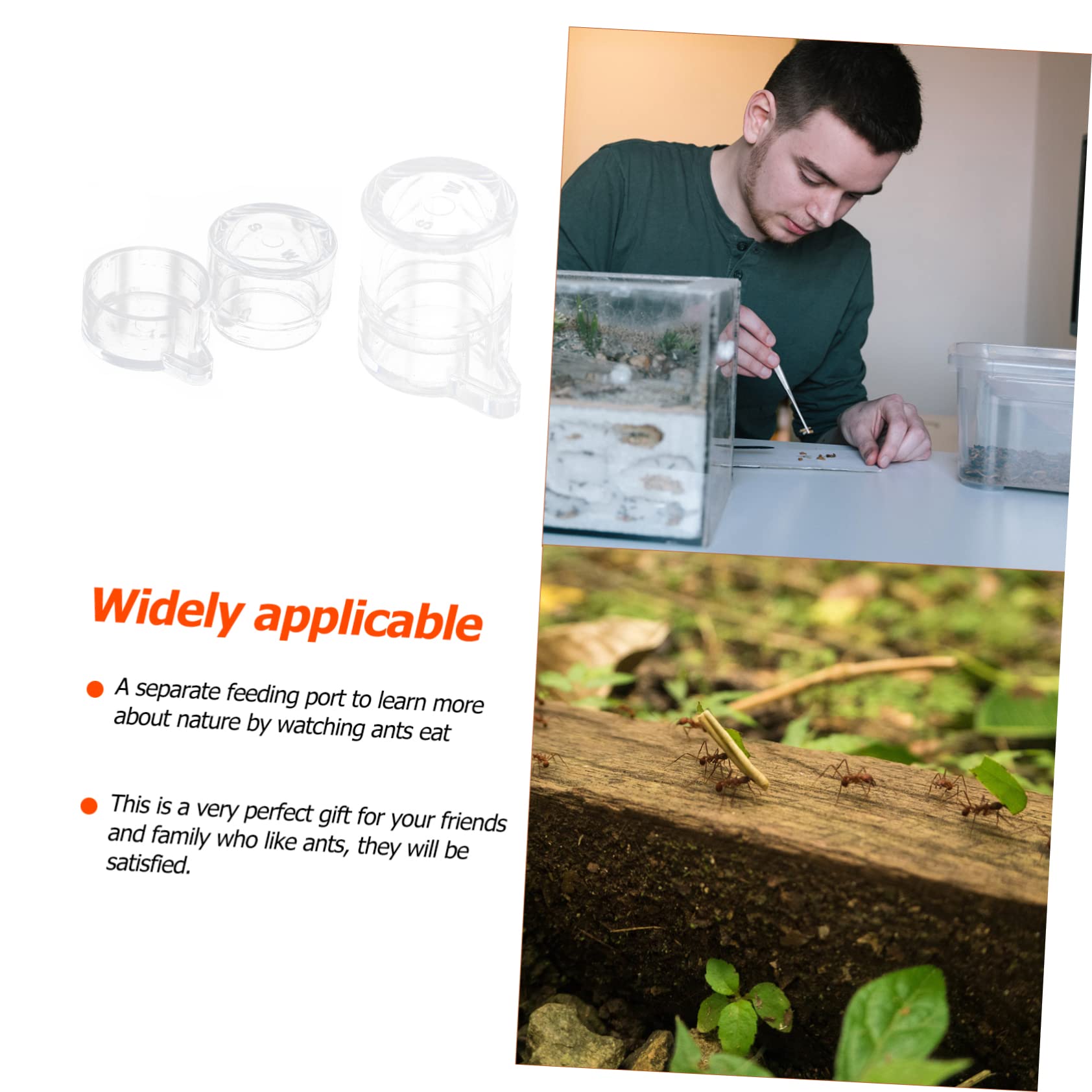 Kisangel 2 Pièces Alimentation pour Fourmis Acrylique Mangeoire et Récipient D Eau Transparent pour Observation des Fourmis