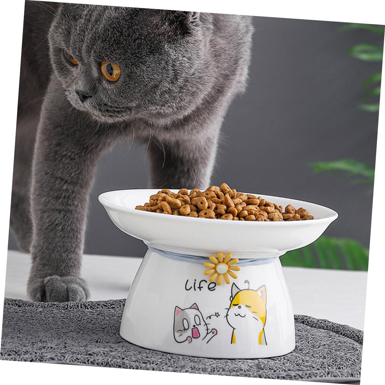 Hohopeti 2stücke Erhöhter Katzennapf Katzenohr-Design rutschfest Und Ergonomisch Für Bequeme Fütterung Vermeidung Von Erbrechen Für Wohnungskatzen Zufälliges Muster