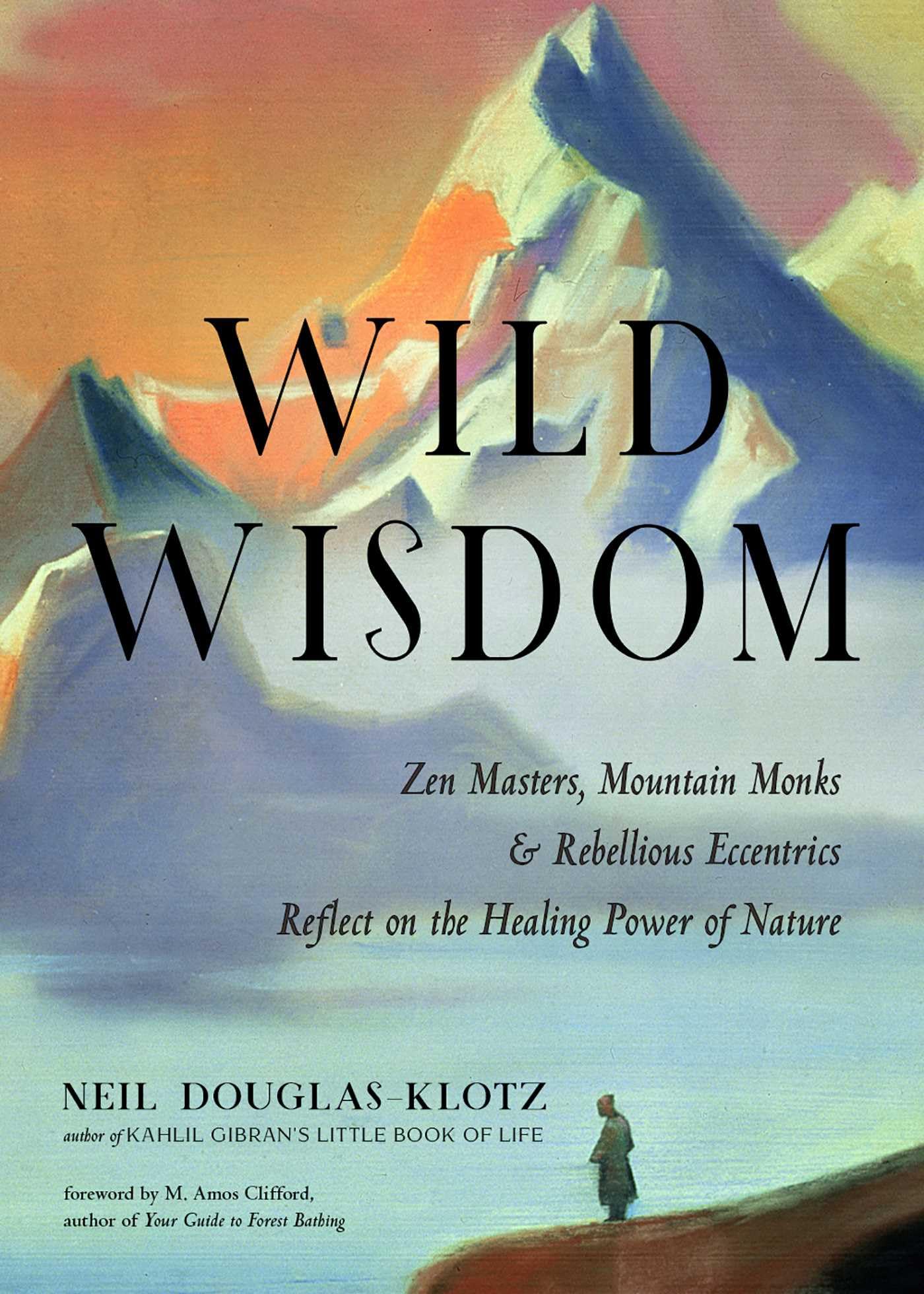Wild Wisdom: Zen Masters, Mountain Monks, and Rebellious Eccentrics Reflect on the Healing Power of Nature: Volume 3