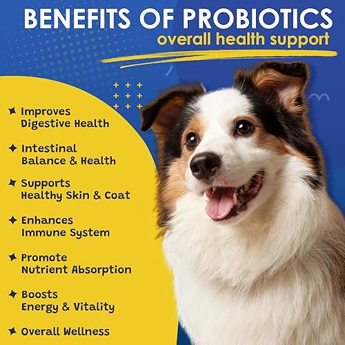 Miniatura 3 de Probióticos para perros - Probióticos para perros para la salud digestiva, prebióticos, enzimas, fibra y omega-3 con vitaminas para promover