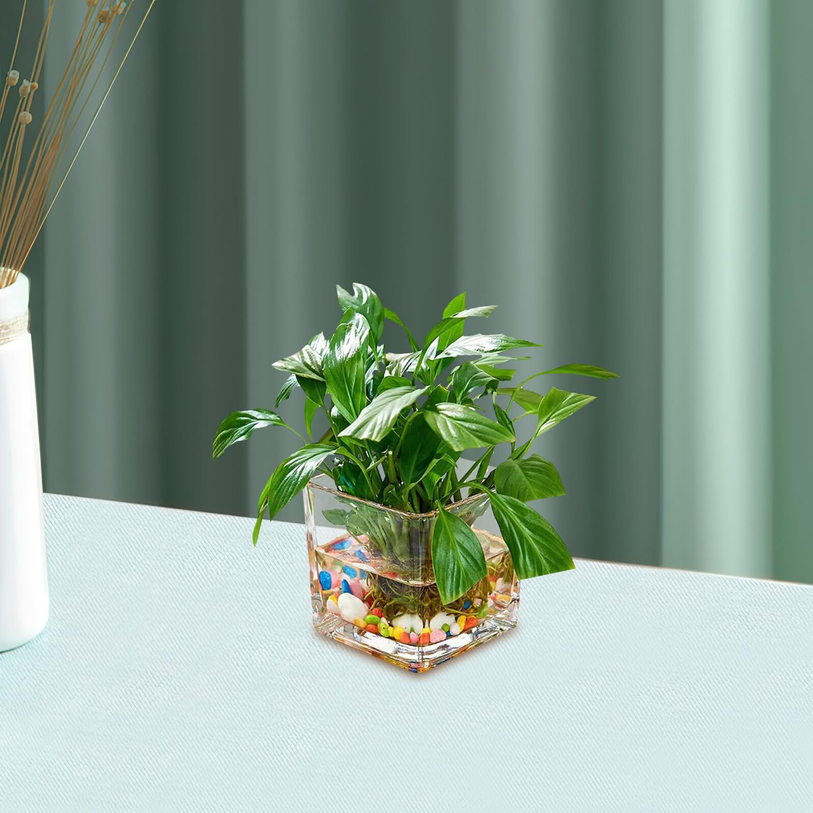 Amazon.co.jp: WOFASHPURET ガラス製立方体花瓶 水耕栽培 容器 10×10