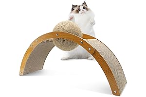 Fhiny Cat Orb: Indulge Your Feline's Scratching Instincts