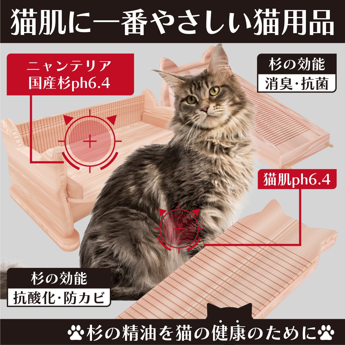 日本製 組にゃん 本能の爪とぎ 猫 杉のチカラ Amazon | 本能の爪とぎ 杉にゃん【猫寿命30歳を目指すフルオーガニック