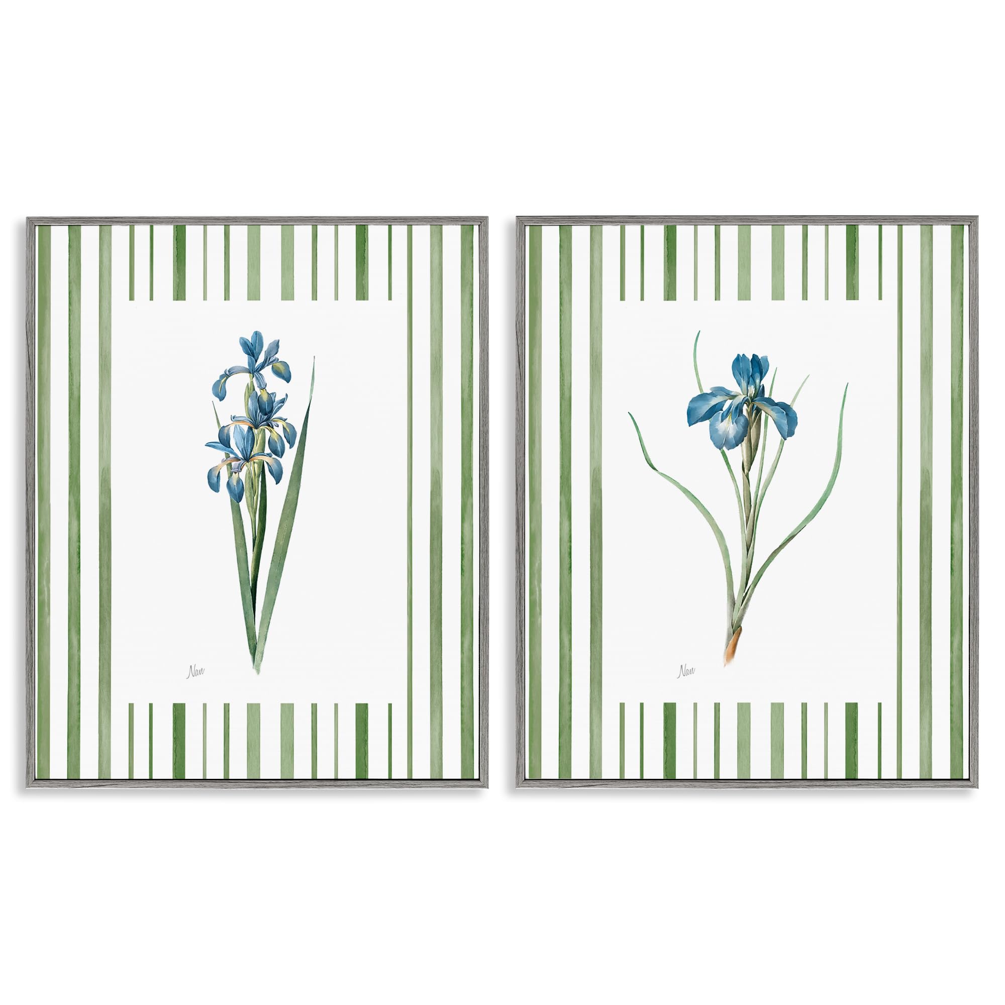 Irises and Stripes Floral, 16 x 20 Inch Framed Giclée Print Set