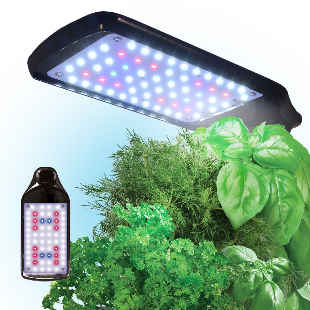 Miracle-Gro AeroGarden Sprout LED avec kit de capsules de graines d’herbes gourmets (noir)