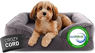 Lumaland orthopädisches Hundebett aus Cord | ergonomisches Hundesofa 70x60 cm - für kleine Hunde | Boden rutschfest | Füllung und Bezug waschbar | Hundekörbchen mit Memory Schaumstoff product image