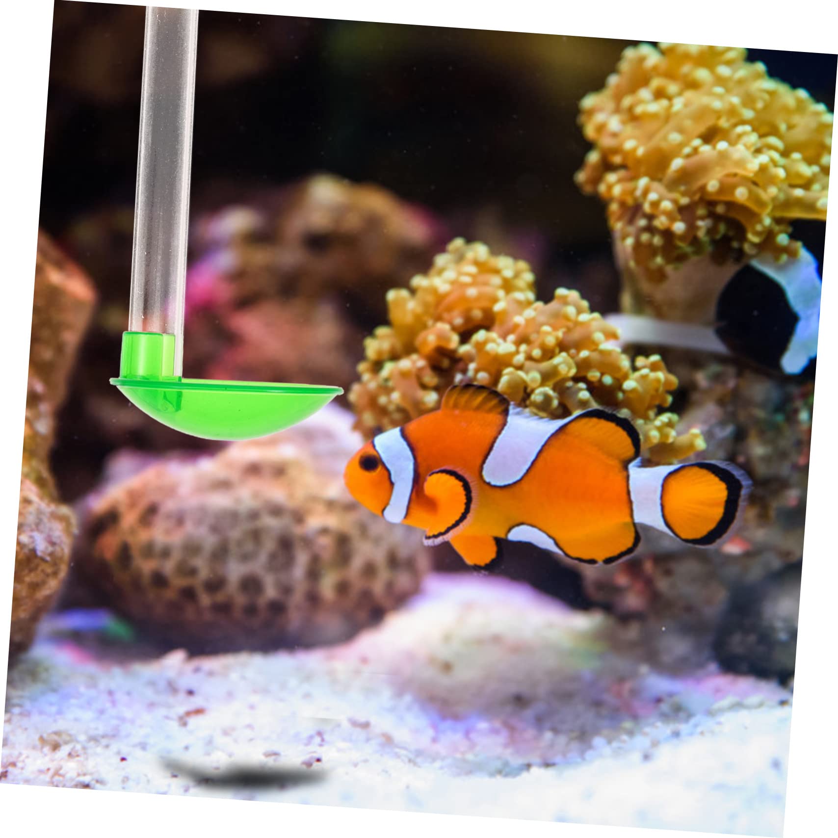 POPETPOP 3juegos Alimentador De Camarones para Acuario Transparente Accesorio Multifuncional De Acuario Fácil Instalación y Limpieza Material Duradero