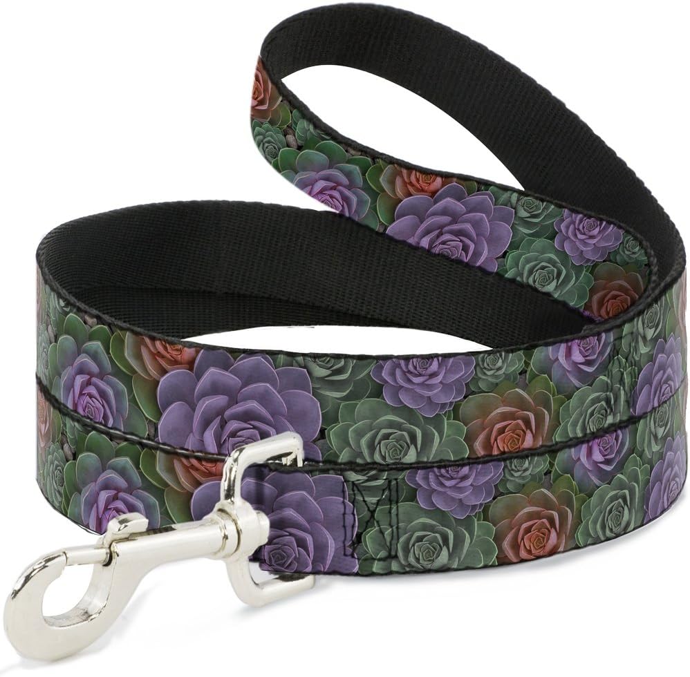 Dog Leash Succulents Stacked Green Pink Orange 6 Feet Long 1.5 Inch Wide
